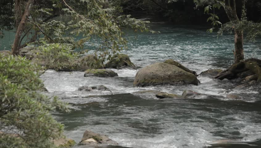 Jungle river in Phong Nha-Ke Bang National Park, Vietnam