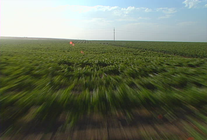 A very low-flying aerial shot (beneath power lines) over a Santa Barbara vineyard.