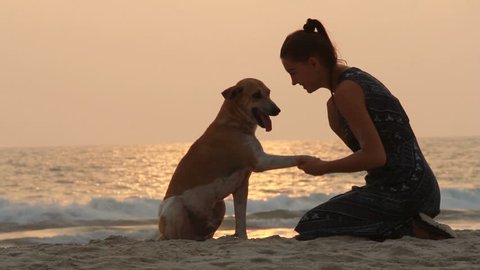 girl shaking hands with her dog