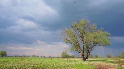 Storm clouds in the field. Time lapse.