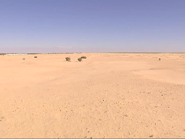 Tunesian Desert