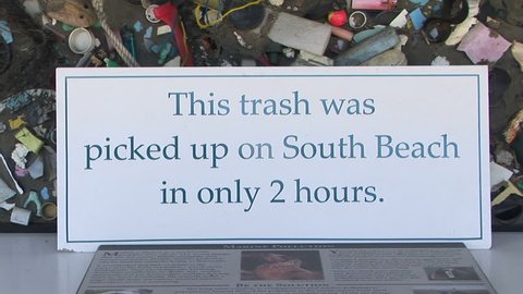 Display of trash cleaned up on one beach in two hours స్టాక్ వీడియో