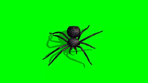 Spider walks - green screen
