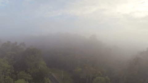 Flying over the misty rainforest canopy at dawn in the Ecuadorian Amazon. A road runs through this forest which will bring an influx of colonists and deforestation.