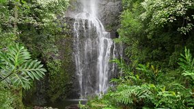 Wailua Falls 
Hana, Maui, Hawaii
shot with Canon 5D MkII using Canon L-series lens