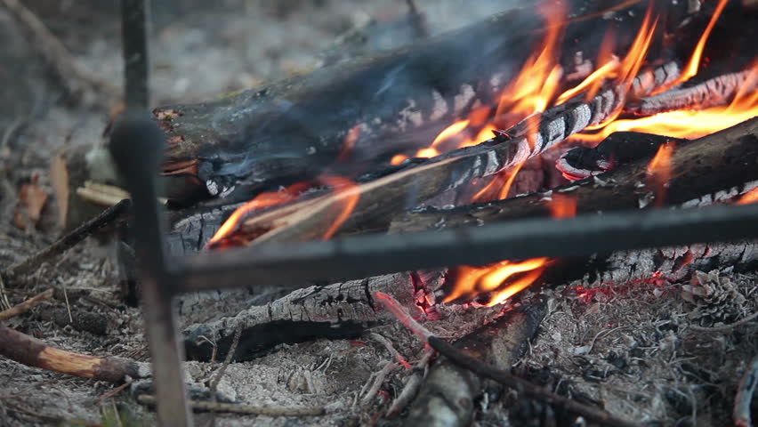 Camera review of bonfire flame with burning logs