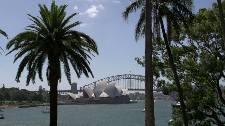 Sydney Opera house and harbour bridge between the palm trees