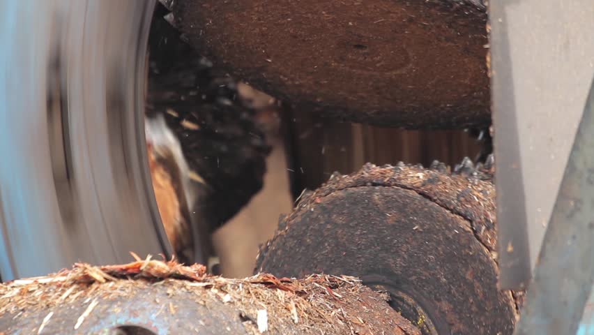 The harvester working in a forest