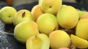 Apricots (not loopable)