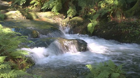 Pure fresh water waterfall in forest