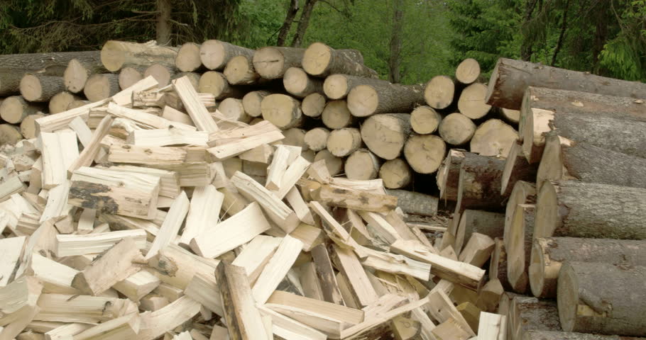 Рубка дров. Дрва. Дрова для детей. Сырое дерево. Дрва.