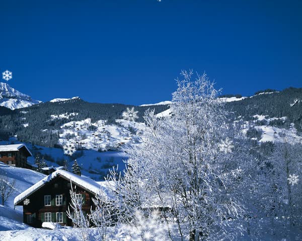 snowing landscape