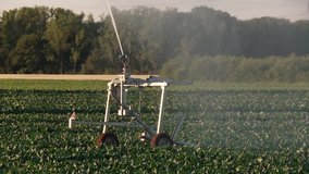 video footage of watering a field in summer in germany. Original Available in 4:2:2 / 10 bit / 100 Mbit
