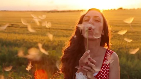 Beauty Young Woman Blowing Dandelion Wishing Joy Concept