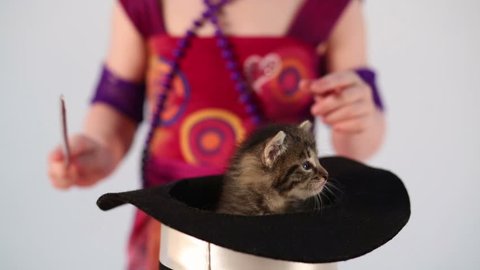 Little girl in costume magician waves her wand over the cylinder with kitten