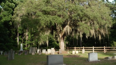 A historic cemetery featuring monuments and faded tombstones in the South Carolina lowlands and trees covered with Spanish Moss creating a sense or eeriness. 