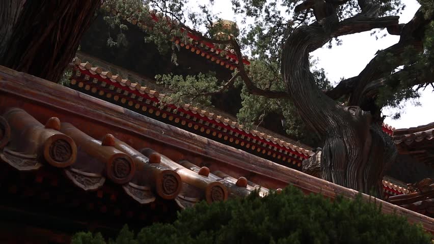 Tourists visiting the Forbidden City in Beijing China