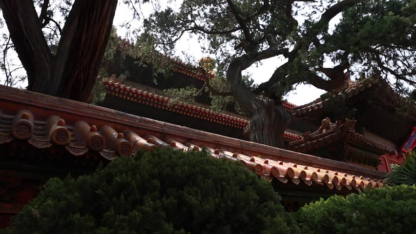 Tourists visiting the Forbidden City in Beijing China