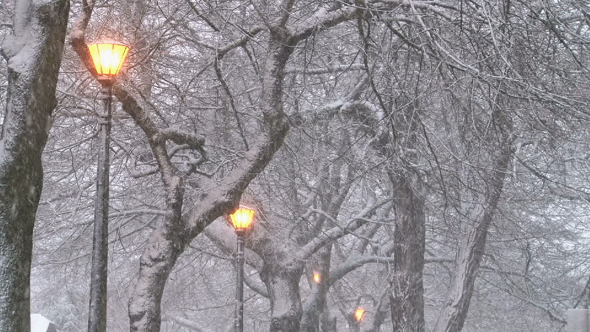 Snow falling in forest with park lights lit up.