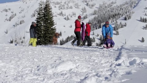 A family and a dog play with sleds in snow