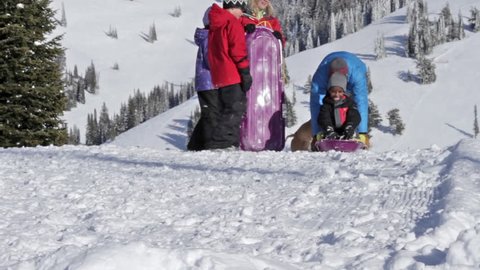 A family and dog play with sleds in the snow