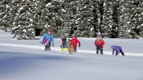 A family and dog walks through snow