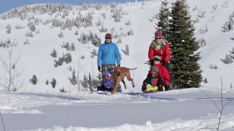 A family and dog play with sleds in the snow