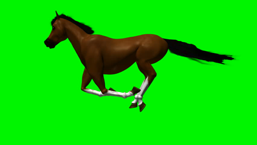Horse Running with Green Screen HD1080