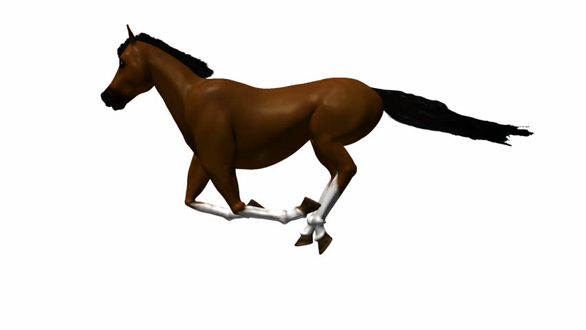 Horse Running with Alpha Channel HD1080