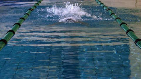 Fit female swimmer doing the butterfly stroke in swimming pool in slow motion