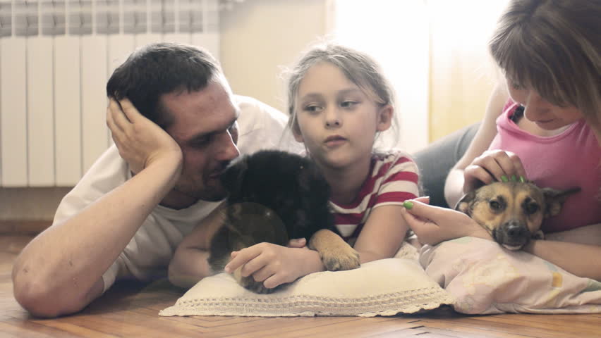 cheerful young family lying on the wooden floor with two dogs