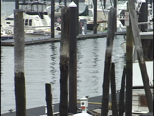 Boats at Dock, passing boat