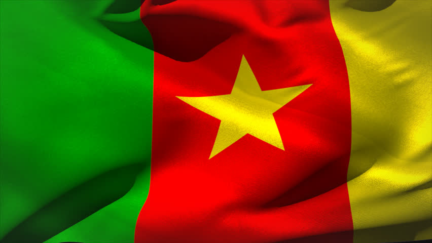 Digitally Generated Cameroon Flag Waving Stock Footage Video (100%