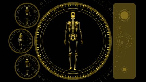 Skeleton Scan Screen - Hi-tech 15 (HD) - 3D animation. Medical, scientific, sci-fi, crime or hi-tech background. Screen with spinning skeleton and spinning rings. Alpha included. Loop.