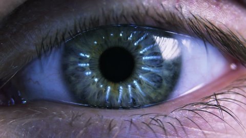 Eye iris and pupil macro. Reflected light rays into the human eye. Close up