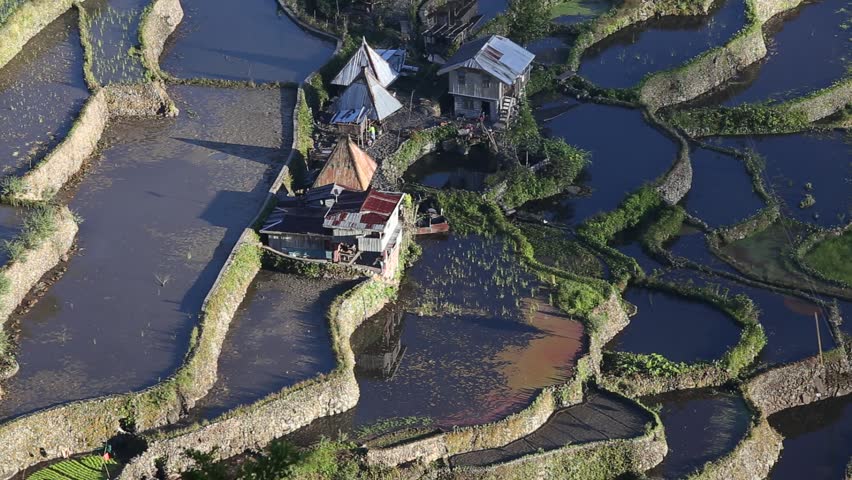 The world heritage Rice terraces in Batad, northern Luzon, Infugao province Philippines.