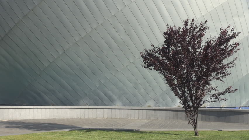 Outside of business building, young man talking on smartphone