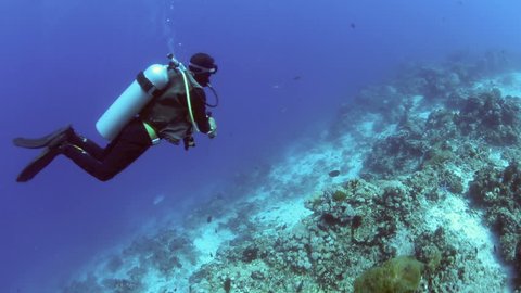 Scuba diver checking his dive computer on drift dive