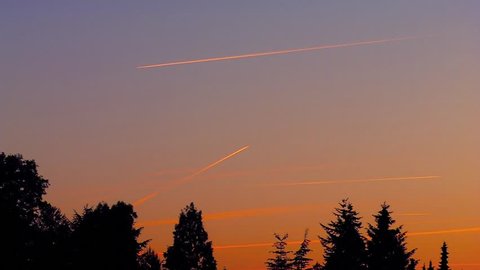 Several contrails in the evening sky
Several planes from different directions with contrails in the evening