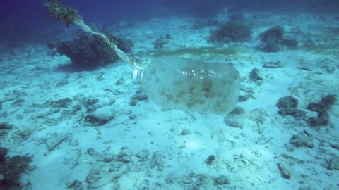 Plastic bottle floating along coral reef - underwater ocean trash