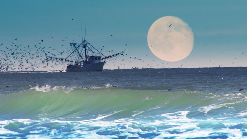 A Commercial Fishing Boat On Stock Footage Video 100 