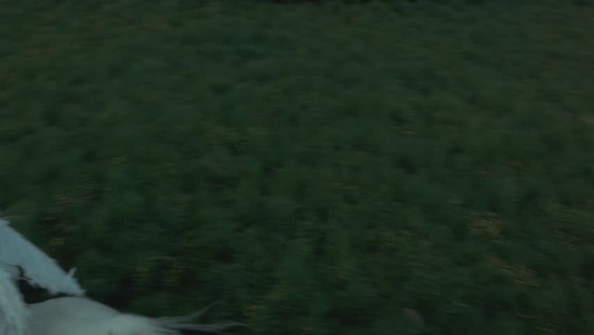 Young angel woman horseback riding in nature  - aerial