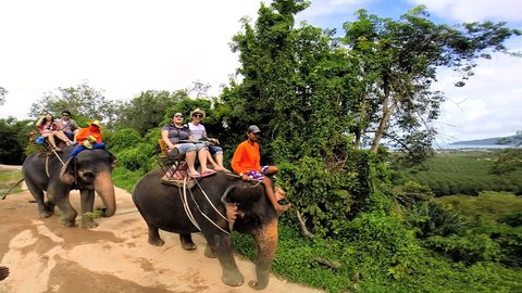 Phuket - December 2013: Motion view of Elephant ride with trainer and tourists, Phuket, Thailand, Asia