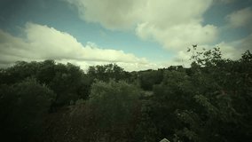 Nature Time Lapse In Apulia Italy