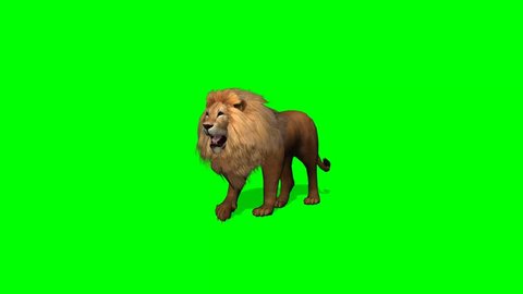 Male Lion  Best Green Screen ( Download Link ) on Make a GIF