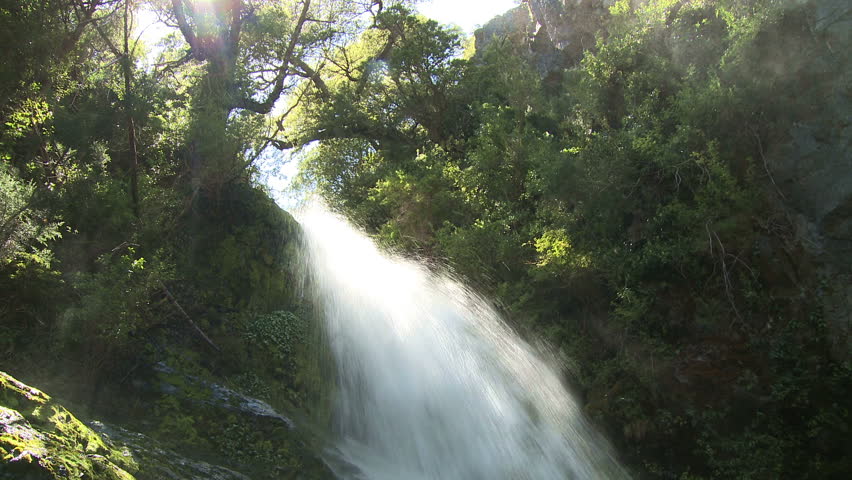 Waterfall in the woods 