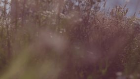 Beauty girl with healthy long hair running and spinning on the field. Beauty young woman Excited with the freedom of the countryside. Nature. Slow motion video footage 1920x1080. High speed camera hot