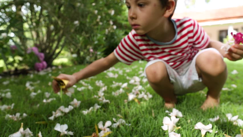 Pick is flower. Boy in the Garden фото. Pick up Flowers. The boy is picking Flowers in the Garden. I like picking Flowers in the.