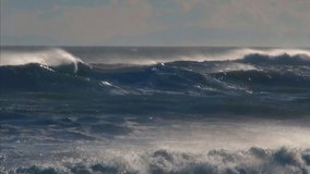 Ocean Waves sea storm sea birds
