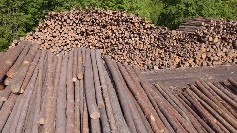 AERIAL: Large stack of lumber at the forest edge